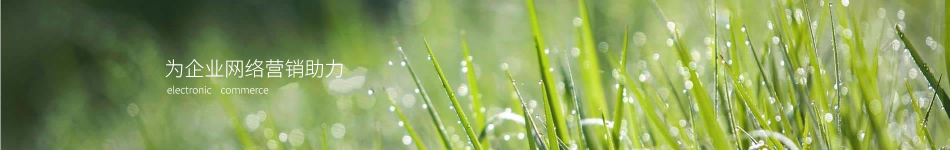رƼ޹˾